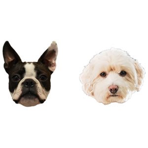Dos caritas