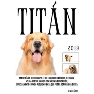 Mascota grande 1